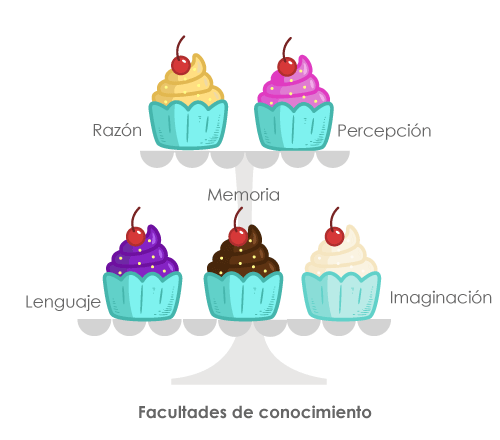 cinco pastelillos, cada uno con el nombre de las habilidades que le permiten acceder al objeto de conocimiento: razón, percepción, lenguaje, memoria e imaginación
