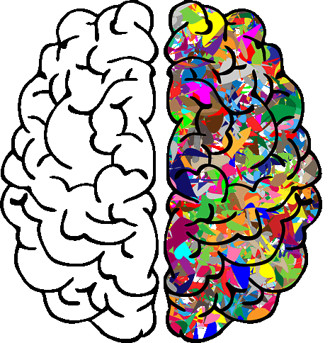 El cerebro