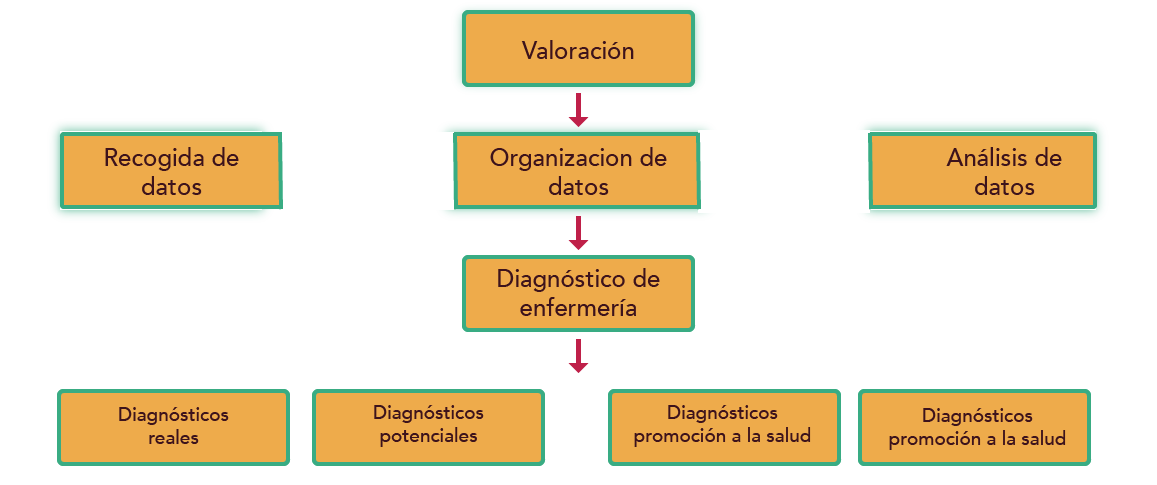Clasificación y elección de diagnósticos de enfermería.