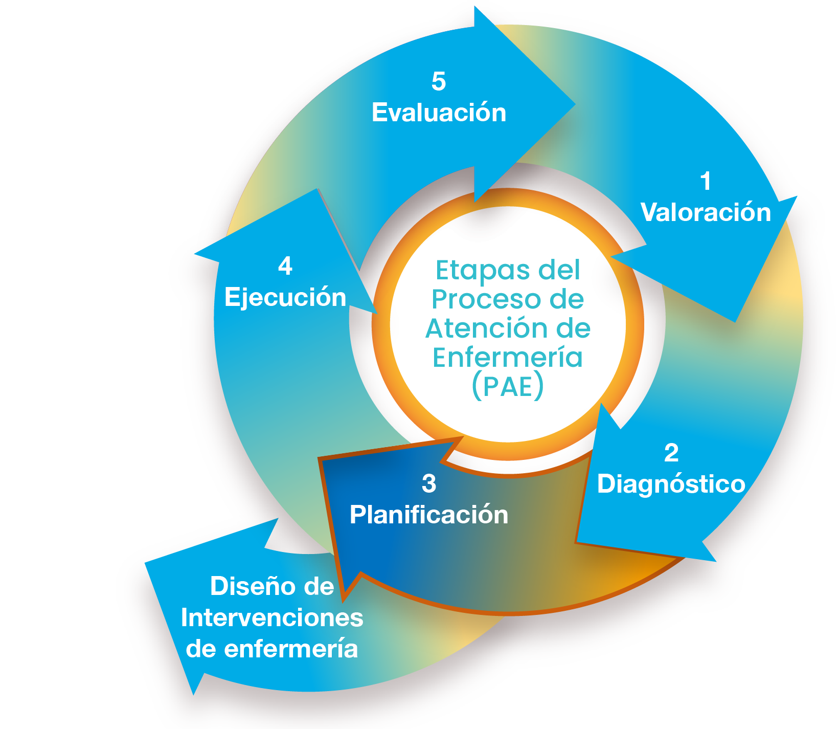 Figura de las etapas del proceso de enfermería.