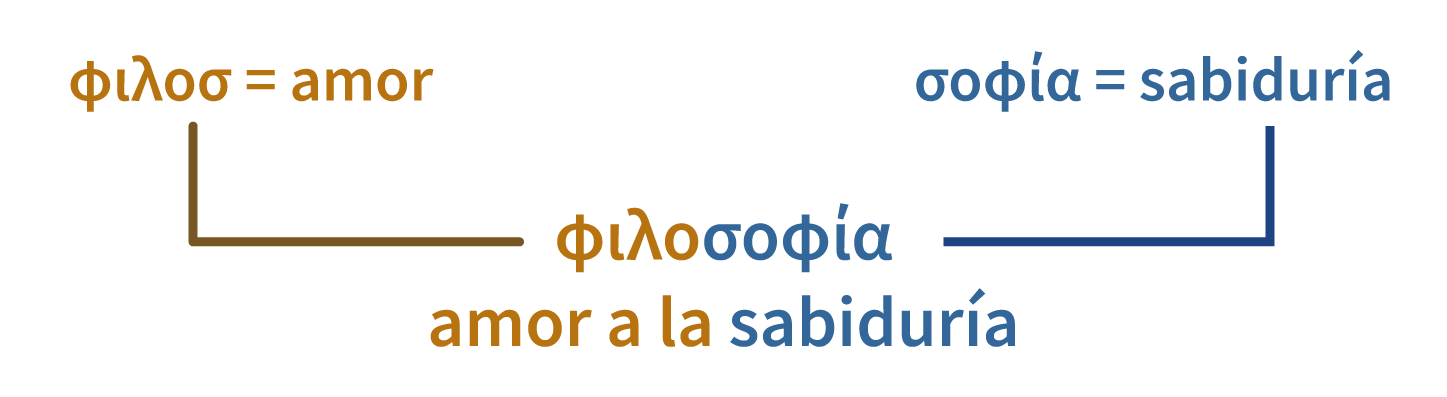 Anatomía del cuerpo de un hombre