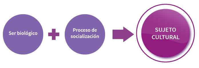 Esquema de cómo el ser biológico y el proceso de socialización da como resultado al sujeto cultural. Esquema de cómo el ser biológico y el proceso de socialización da como resultado al sujeto cultural.