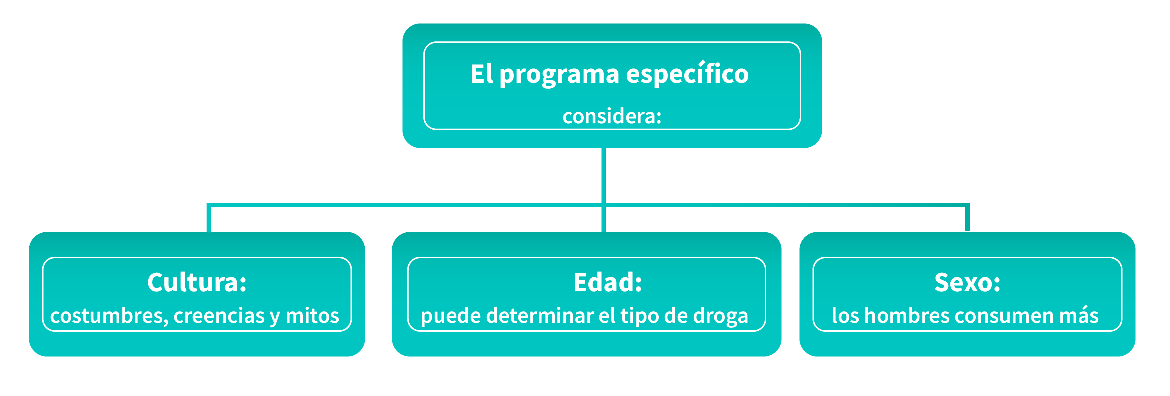 Características para considerar en un programa específico Elementos específicos como la cultura, la edad y el sexo para considerar en un programa específico