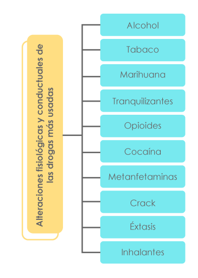 Gráfico con los contenidos de la unidad (alcohol, tabaco, marihuana, tranquilizantes, opioides, cocaína, metanfetaminas, crack, éxtasis e inhalantes).
