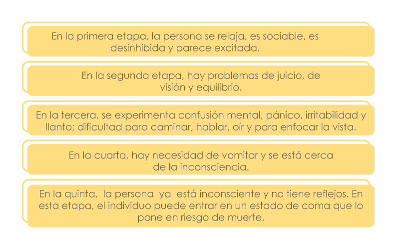 Gráfico que enlista las etapas y efectos del consumo del alcohol.