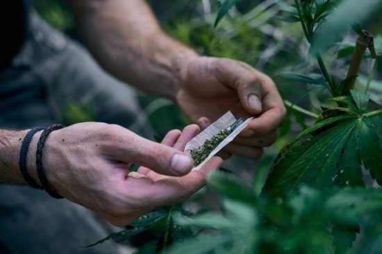 hombre rodando un cigarro de marihuana.