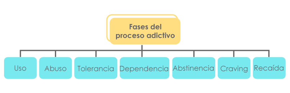 Gráfico con los contenidos de la unidad (uso, abuso, tolerancia, dependencia, abstinencia, craving y recaída).