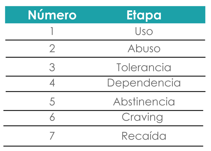 tabla en la que se enlistan las fases de la dependencia con una pequeña descripción a cada una de ellas.