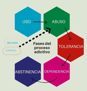 esquema a colores de las fases del proceso adictivo: uso, abuso, tolerancia, dependencia y abstinencia; recaída y craving.