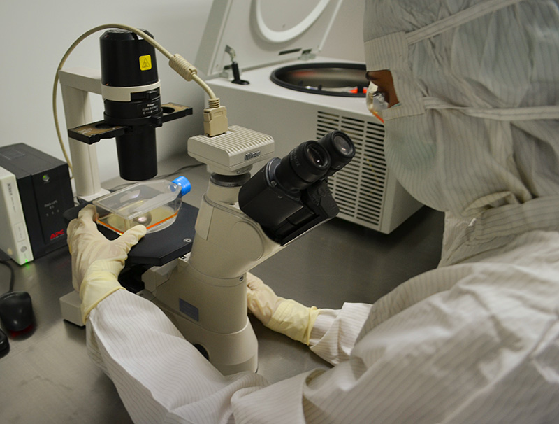 Médico observando un microscopio